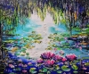 Water lilies 