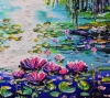 Water lilies 