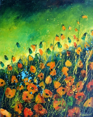orange poppies