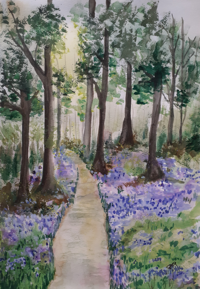 Bluebell Woods