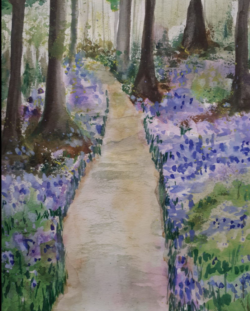 Bluebell Woods