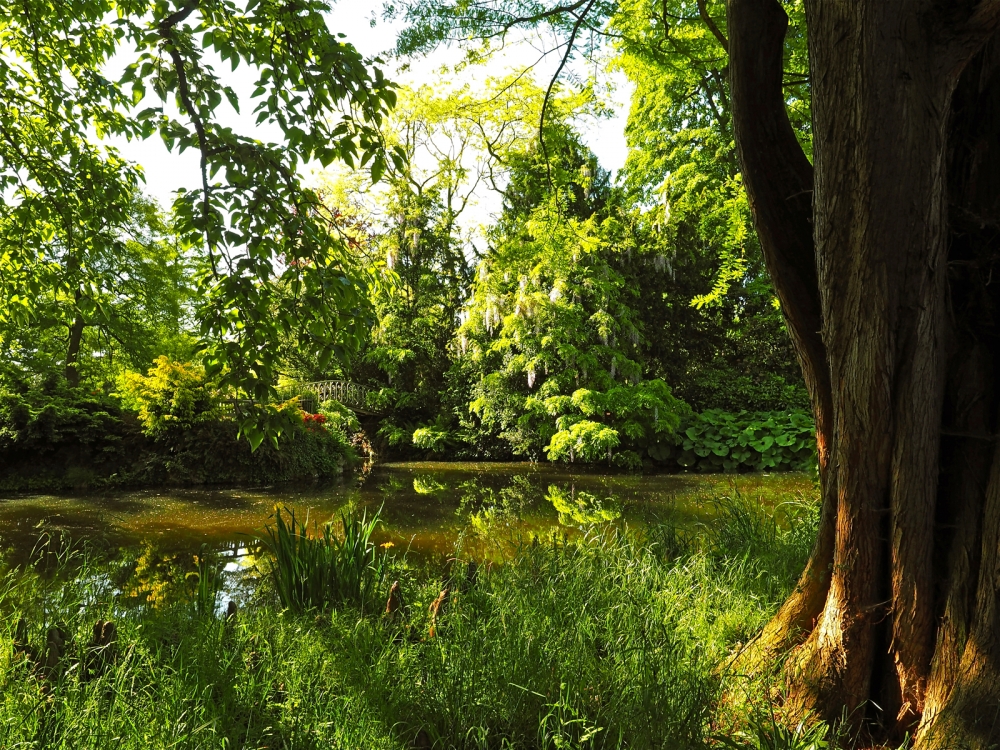 Arboretum 3 de la Vallée-aux-Loups