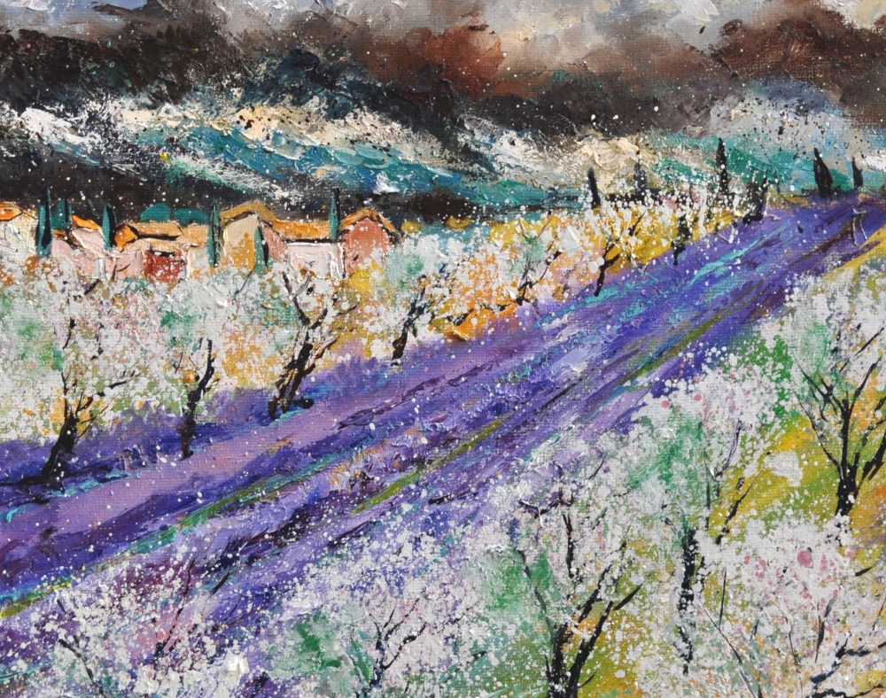 Blooming almond trees in Provence 