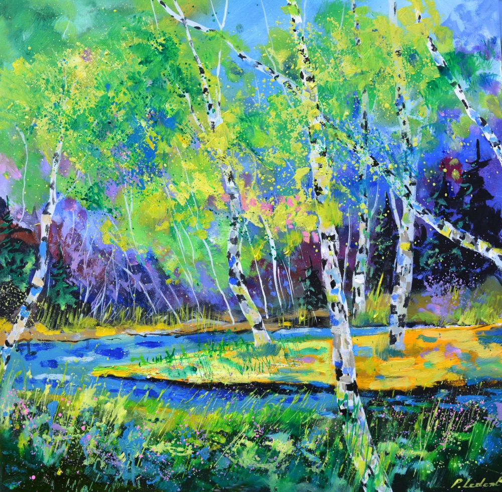 Aspen trees in spring 