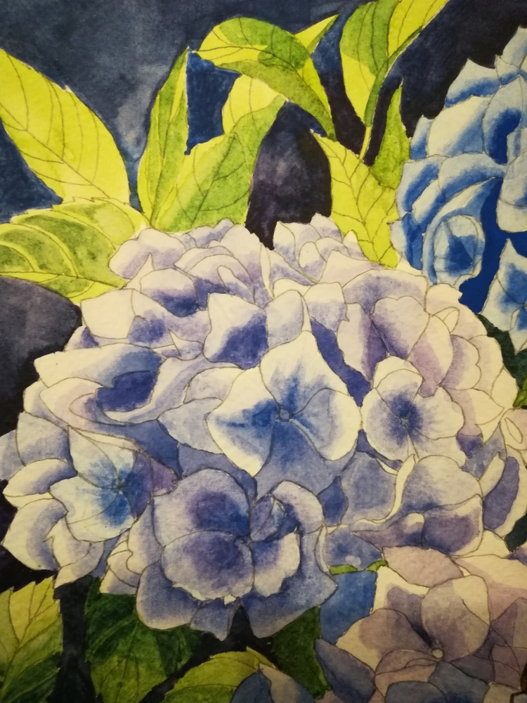 Blue hydrangeas with Butterfly Watercolour 