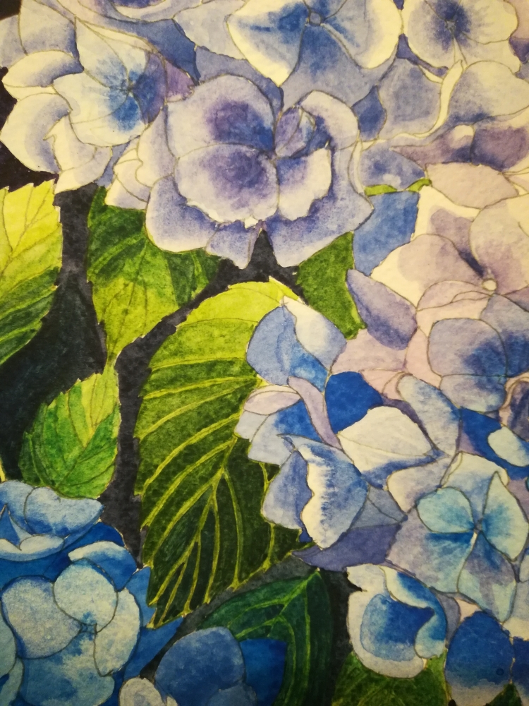 Blue hydrangeas with Butterfly Watercolour 