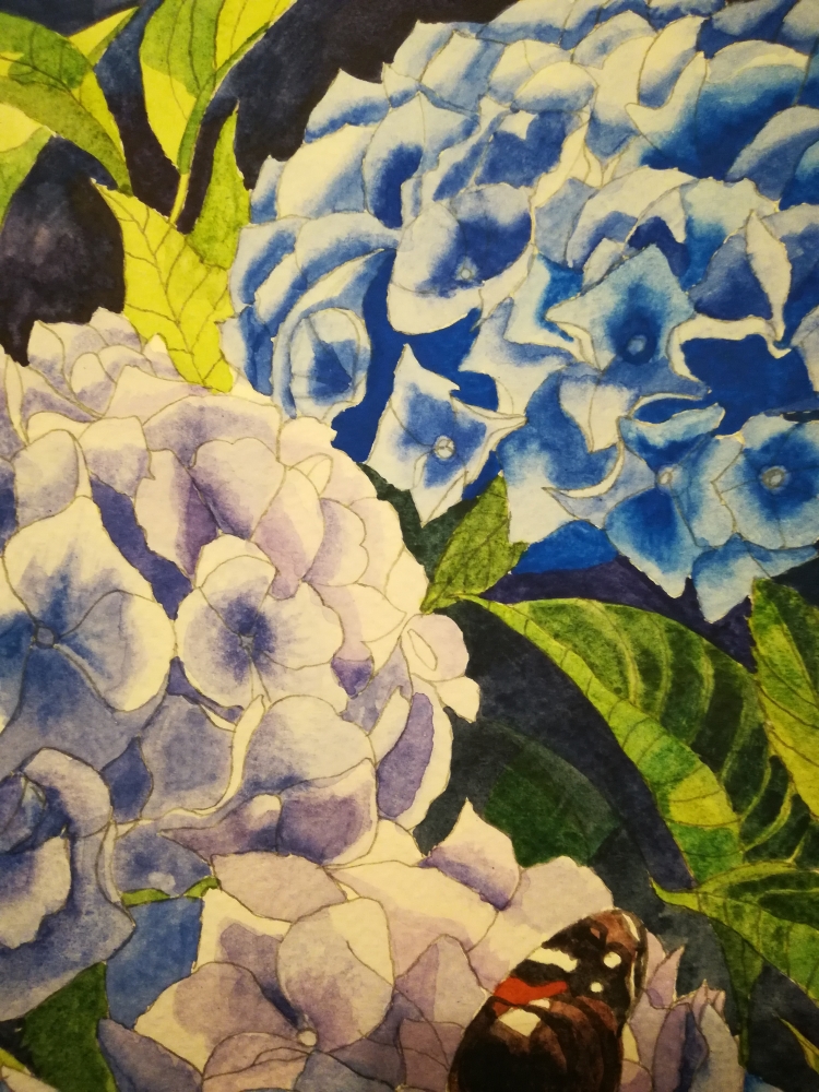 Blue hydrangeas with Butterfly Watercolour 