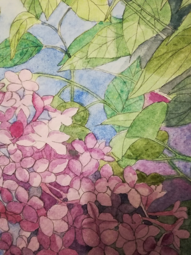 Lilac blossoms in watercolour 