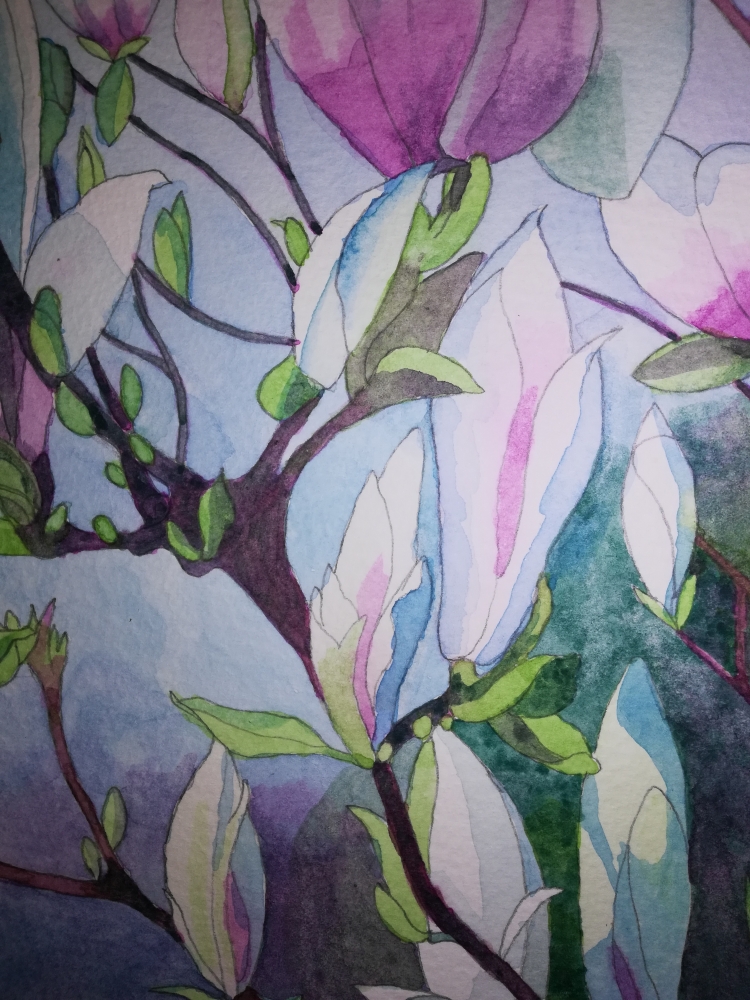 Magnolias in watercolour 