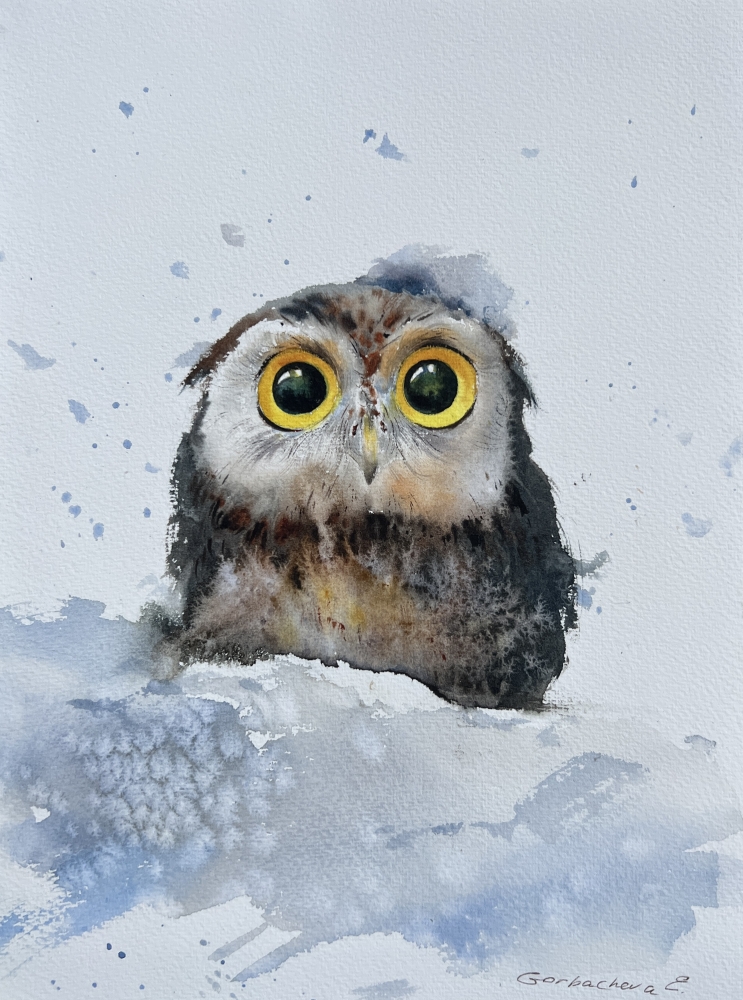 Owlet in a snowdrift