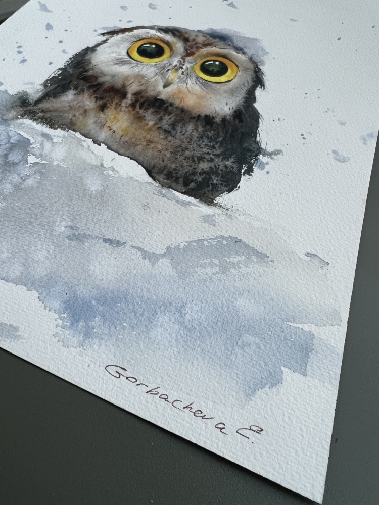 Owlet in a snowdrift