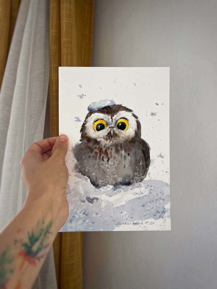 Owlet in a snowdrift #2