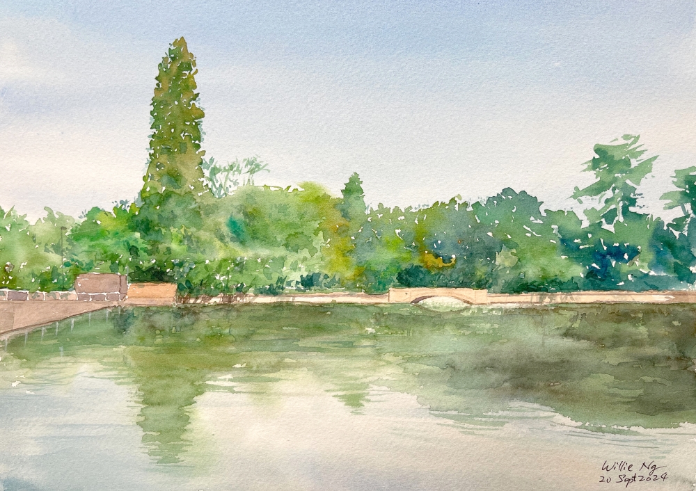 Carshalton Ponds