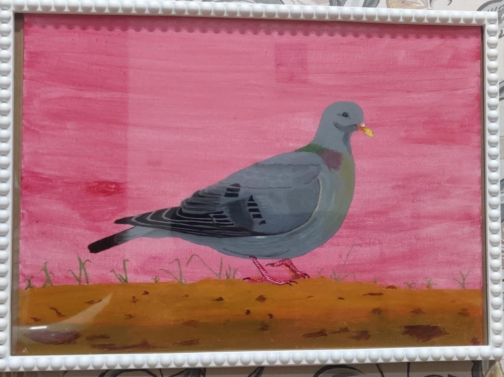 The Dove (Pigeon)