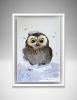 Owlet in a snowdrift #2