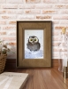 Owlet in a snowdrift #2