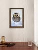 Owlet in a snowdrift #2