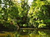 Arboretum 3 de la Vallée-aux-Loups