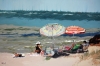 Beach Umbrellas - Limited Edition Giclee Print