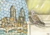 Urban Turtle Dove