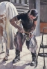 Farrier Life - Sam Marlow 