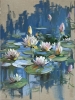 Water Lily Symphony. Lily pond.