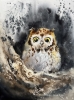 Owl in a hollow #2