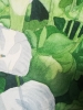 White Calla lilies in watercolour 