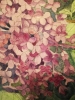 Lilac blossoms in watercolour 