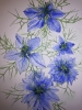 Blue Love-in-a-mist watercolour painting. 