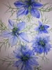 Blue Love-in-a-mist watercolour painting. 