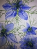 Blue Love-in-a-mist watercolour painting. 