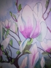 Magnolias in watercolour 