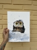 Owlet in a snowdrift