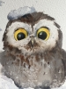 Owlet in a snowdrift #2