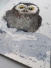 Owlet in a snowdrift #2