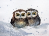 Owl duet in the snow