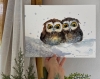 Owl duet in the snow