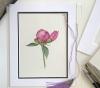 Peony Bud