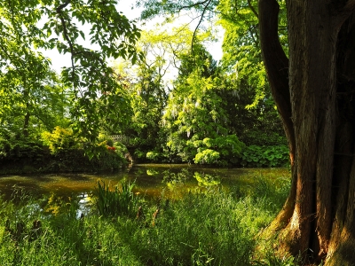 Arboretum de la Vallée-aux-Loups 3
