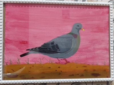 The Dove (Pigeon)