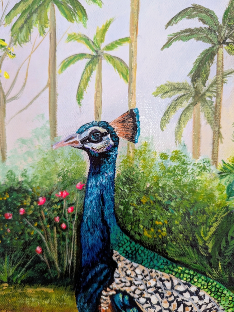 Graceful Peacock