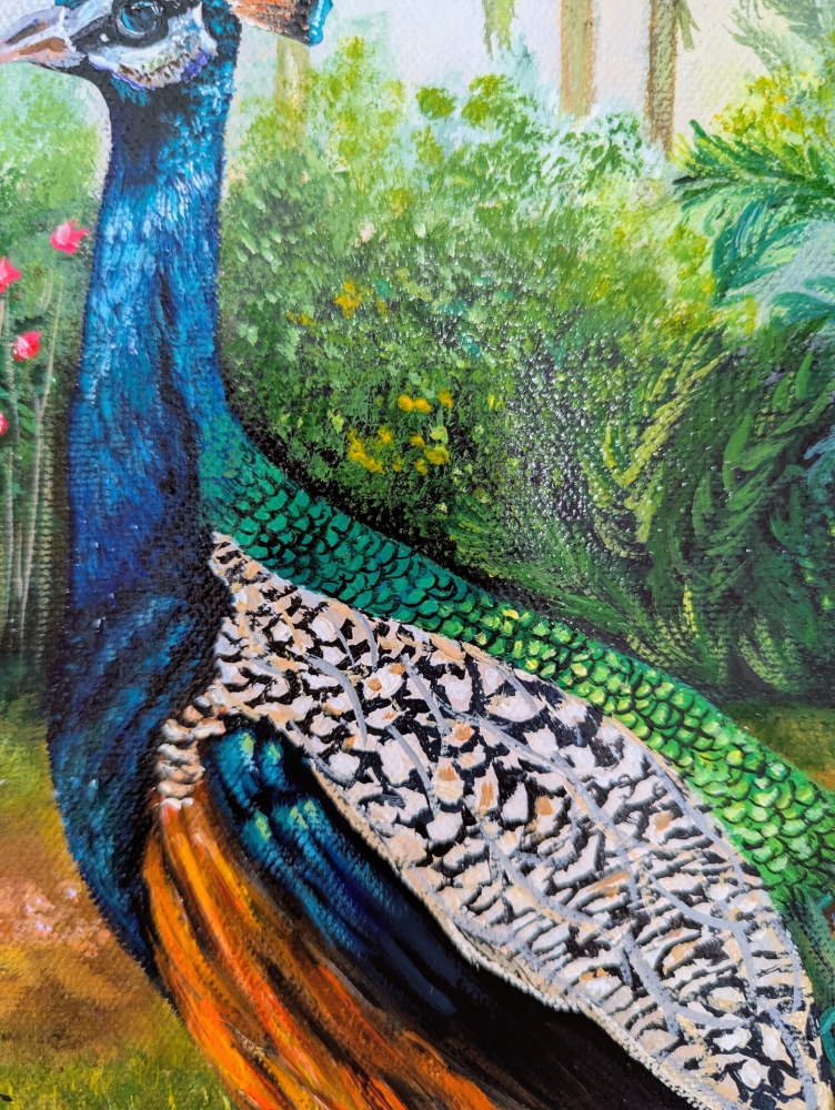 Graceful Peacock