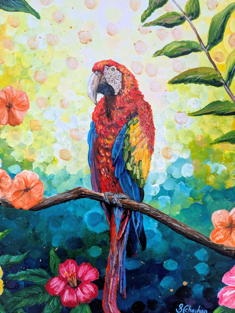 Colourful Parrot