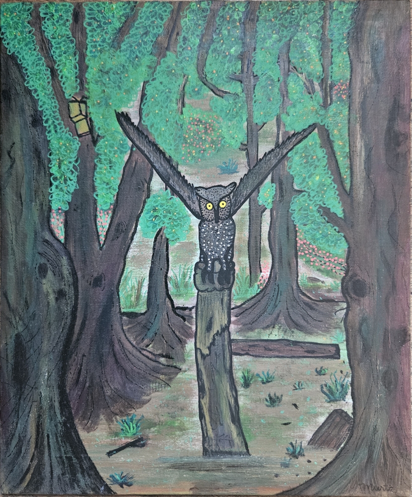 \"An OWL\" \" Uma Coruja\"