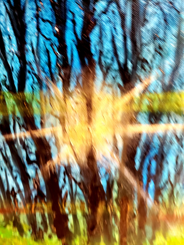 Sunrise in forest, Acrylic on canvas, 30x40x1.5 inch, 76.5x101.5x4 cm, SKU 1028
