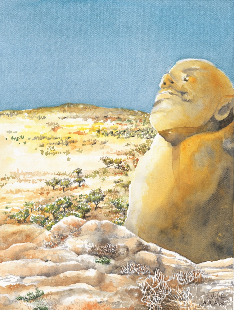 ROCK FACE IN THE SUN