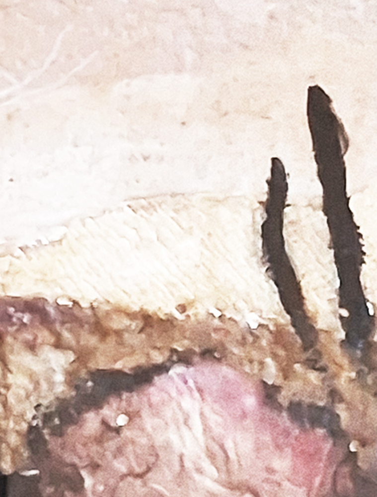 A day at the beach (portrait)