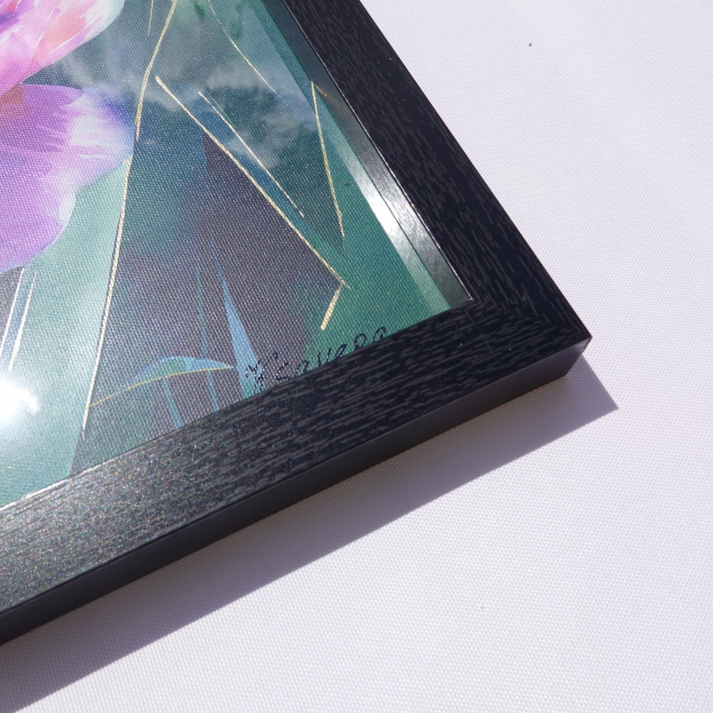 Peonies B104 - diptych - framed canvases