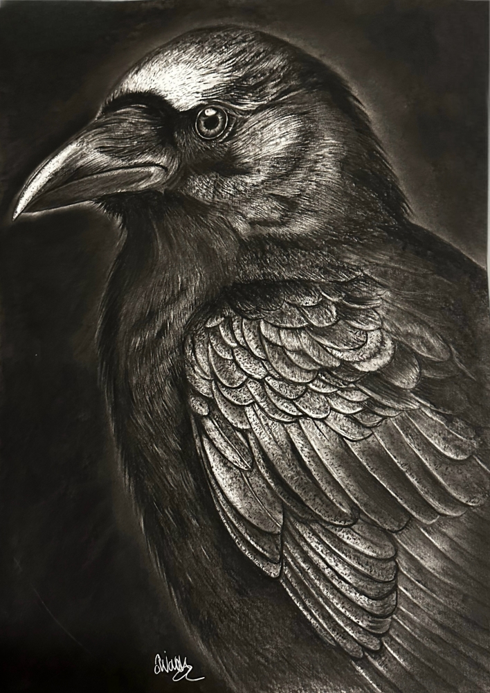 Raven Raven 